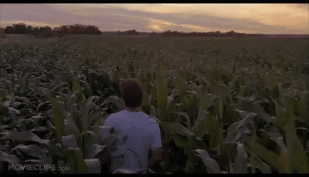 Kevin Costner stands in a large field of corn, looking confused and disturbed.