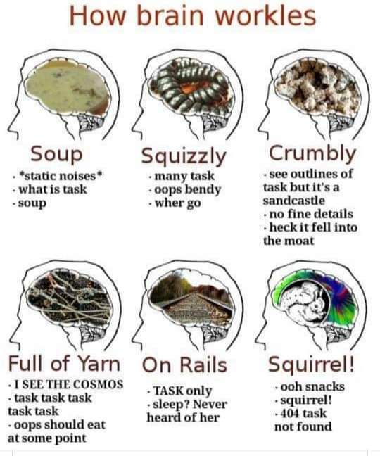 How brain workles:
Soup: *static noises*, what is task, soup
Squizzly: many task, oops bendy, wher go
Crumbly: see outlines of task but it's a sandcastle, no fine details, heck it fell into the moat
Full of Yarn: I SEE THE COSMOS, task task task task task, oops should eat at some point
On Rails: TASK only, sleep? never heard of her
Squirrel! ooh snacks, squirrel! 404 task not found