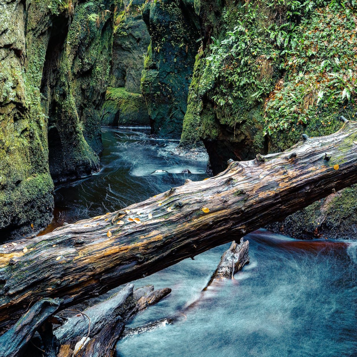 A rapidly flowing stream between steep mossy banks with a giant log fallen across it (going downhill, but not necessarily without incident)